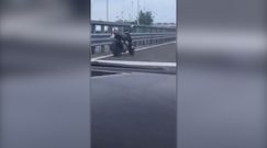 Zobaczył motocykl na włoskiej autostradzie. Nie mógł uwierzyć własnym oczom