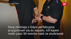 Policjanci nie dali się zwieść przebierańcom. Wpadli na gorącym uczynku