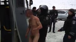 Agresywne zachowanie Berkutu