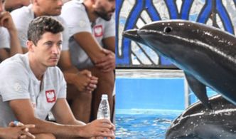Polska reprezentacja wizualizuje sobie zwycięstwo w towarzystwie delfinów