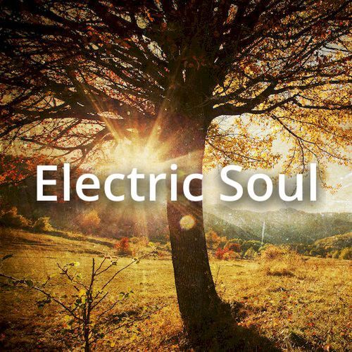 Okładka albumu Electric Soul wykonawcy Marlon Roudette