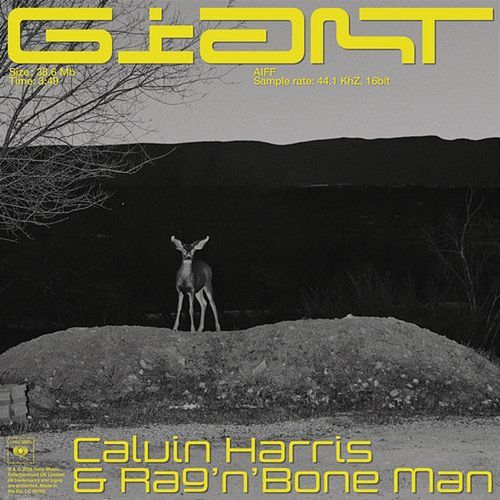 Okładka albumu Giant wykonawcy Calvin Harris & Rag'n'Bone Man
