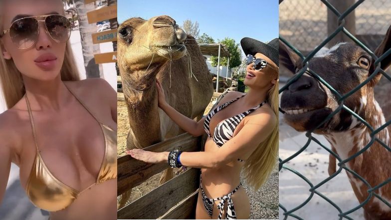 Izabela Macudzińska paraduje w bikini na wakacjach w Omanie, prezentując światu ODCHUDZONĄ figurę (ZDJĘCIA)
