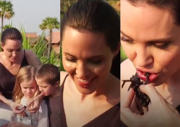 Angelina Jolie razem z dziećmi jedzą skorpiony i pająki... (FOTO)
