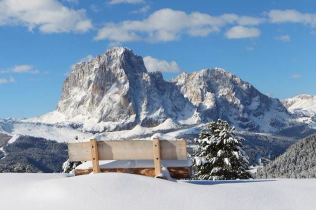 Jak dotrzeć w Alpy lub Dolomity?