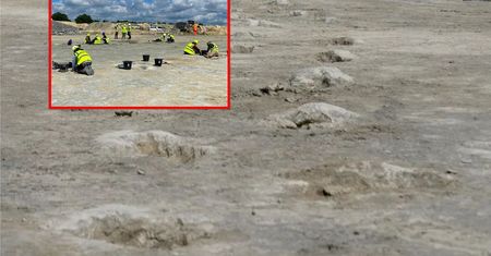Minęło 166 milionów lat. Odnaleźli ślady dinozaurów