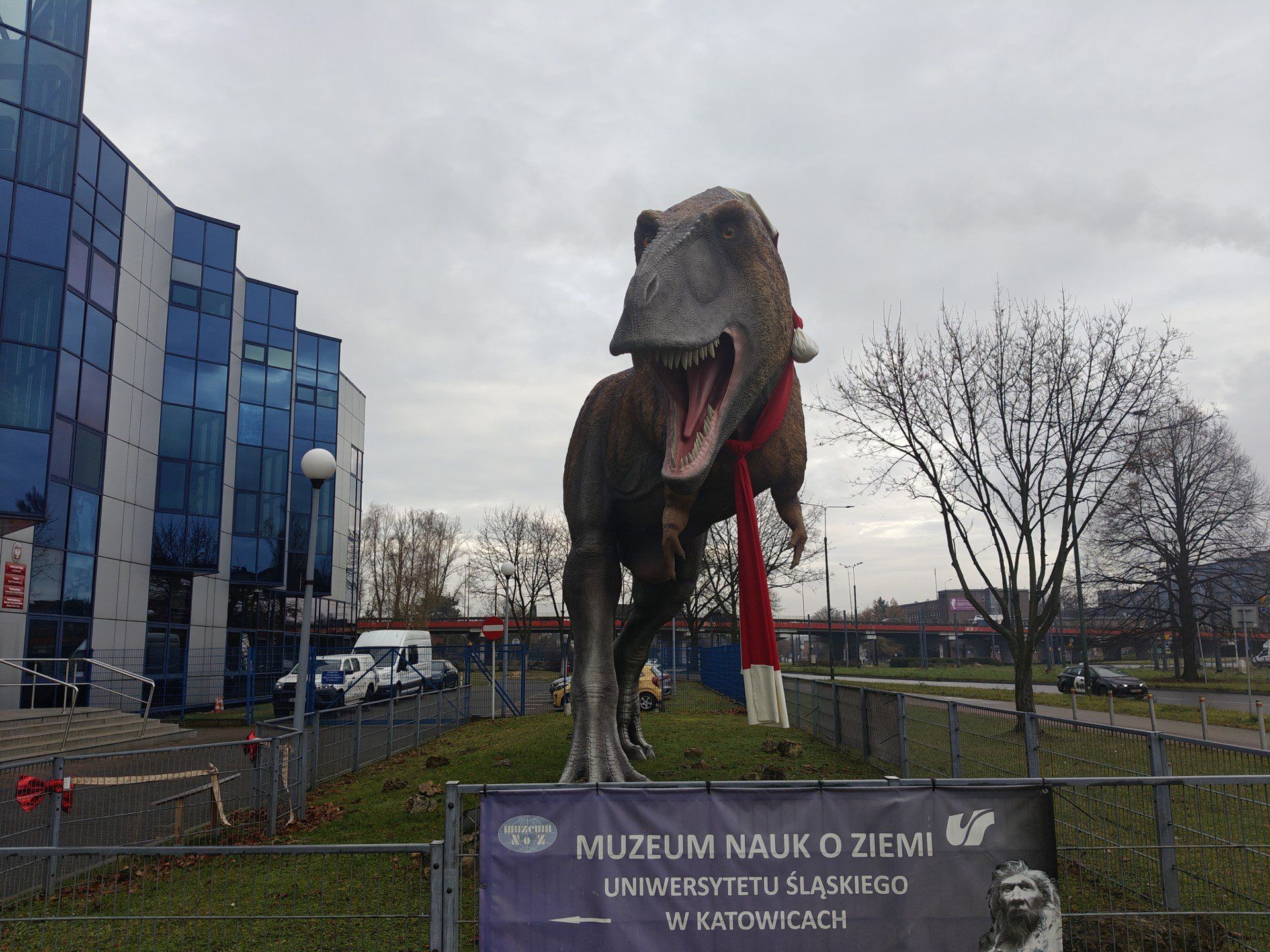 Przewijaj w dół, aby przejść do następnych zdjęć!