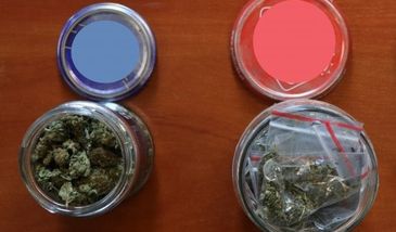 Śląskie. Kolekcja na parapecie w Wojkowicach. Narkotyki w słoikach