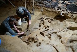 Archeologiczna sensacja. Znalezisko może mieć nawet 40 tys. lat