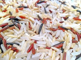 Mieszanka ryżu białego i dzikiego