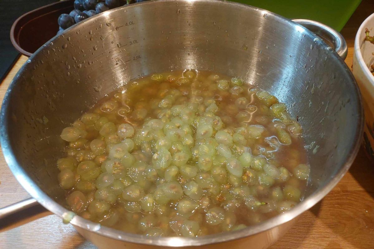 Najlepsze na jesienne przetwory. Zabijają wolne rodniki i przeganiają raka