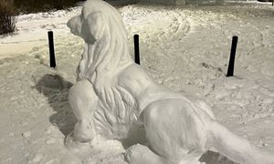 Ludzie tworzą je w śniegu. "Dwie godziny pracy"