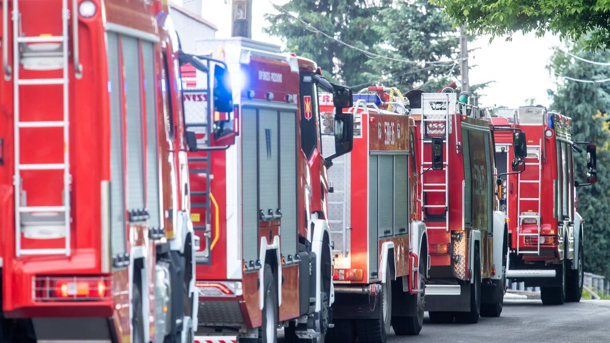 Do akcji wysłano siedem zastępów straży pożarnej 