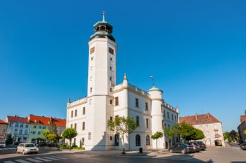 Sulechów: Odsłonięcie pamiątkowej tablicy. Jest poświęcona żołnierzom