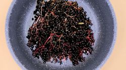 Czarny bez "naprawia" odporność i leczy jelita. Pij codziennie