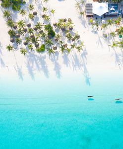 Kłopoty Pili Pili. Miał być urlop na Zanzibarze. Jest zamieszanie