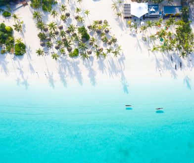 Kłopoty Pili Pili. Miał być urlop na Zanzibarze. Jest zamieszanie