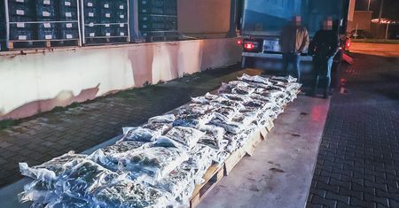 "4,5 mln zł" odkryte pod kalafiorami. Cynk CBŚP okazał się prawdziwy