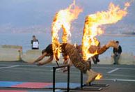 Żołnierze chwalą się sprawnością