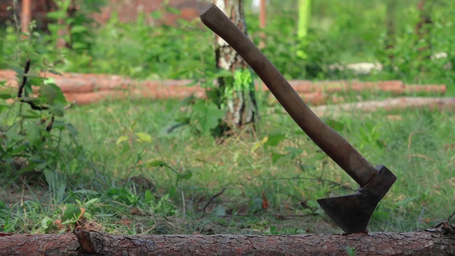 siekiera, siekiera w pniu, an ax in the trunk, las, survival, drewno, krzyżyk, klinga, stary, toporek, klamka, charakter, metal, stal, graty, bory, krojenie