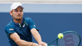 Weteran podniósł się po mocnym ciosie. Koniec przygody 17-latka