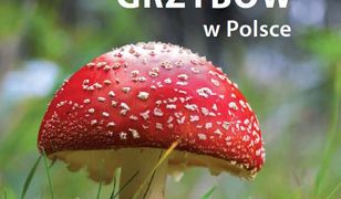 Encyklopedia grzybów w Polsce