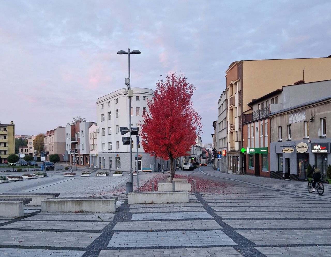 Wybory samorządowe 2024.