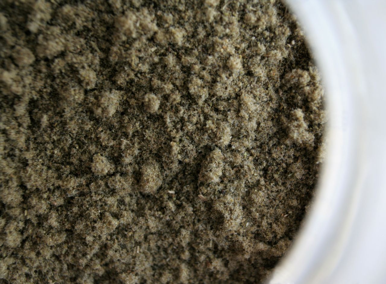 Szałwia - właściwości, zastosowanie, przeciwwskazania