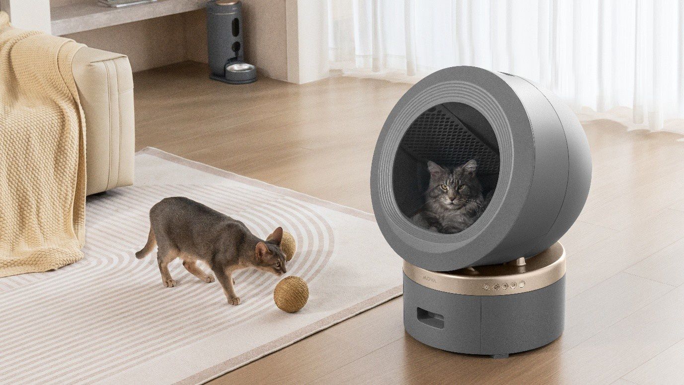 MOVA dba o porządek w domu