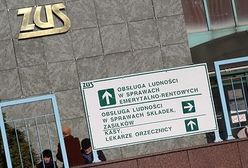 ZUS wziął się do kontroli ciężarnych bizneswomen