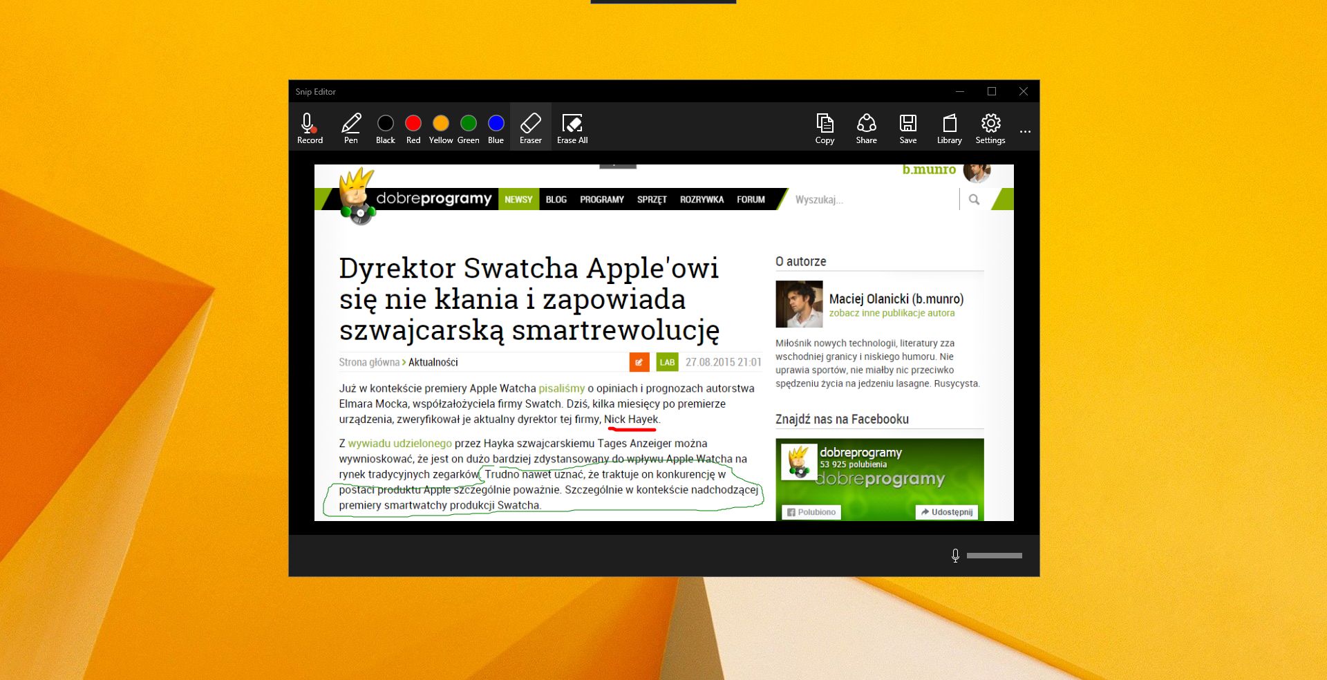 Obraz