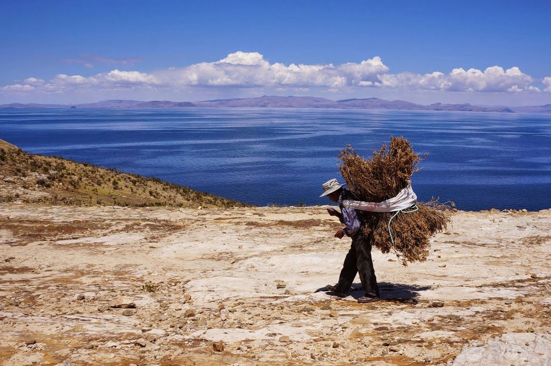 „Isla del Sol - W drodze do domu", Boliwia.