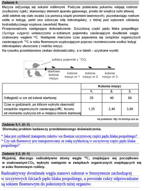 Propozycje rozwiązań opracowane przez nauczycieli z www.maturita.pl