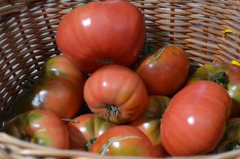 Pomidory przechowuję w ten sposób. Są jędrne i soczyste nawet przez tydzień