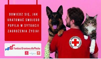 Pierwsza pomoc dla czworonogów. PCK w Płocku zaprasza na bezpłatny kurs