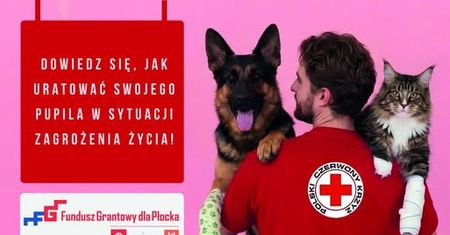 Pierwsza pomoc dla czworonogów. PCK w Płocku zaprasza na bezpłatny kurs