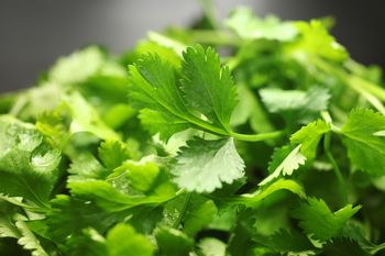 Tę przyprawę się kocha albo nienawidzi. Niewielu wie, że doskonale wspiera trawienie