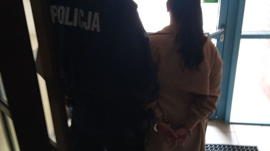 policja