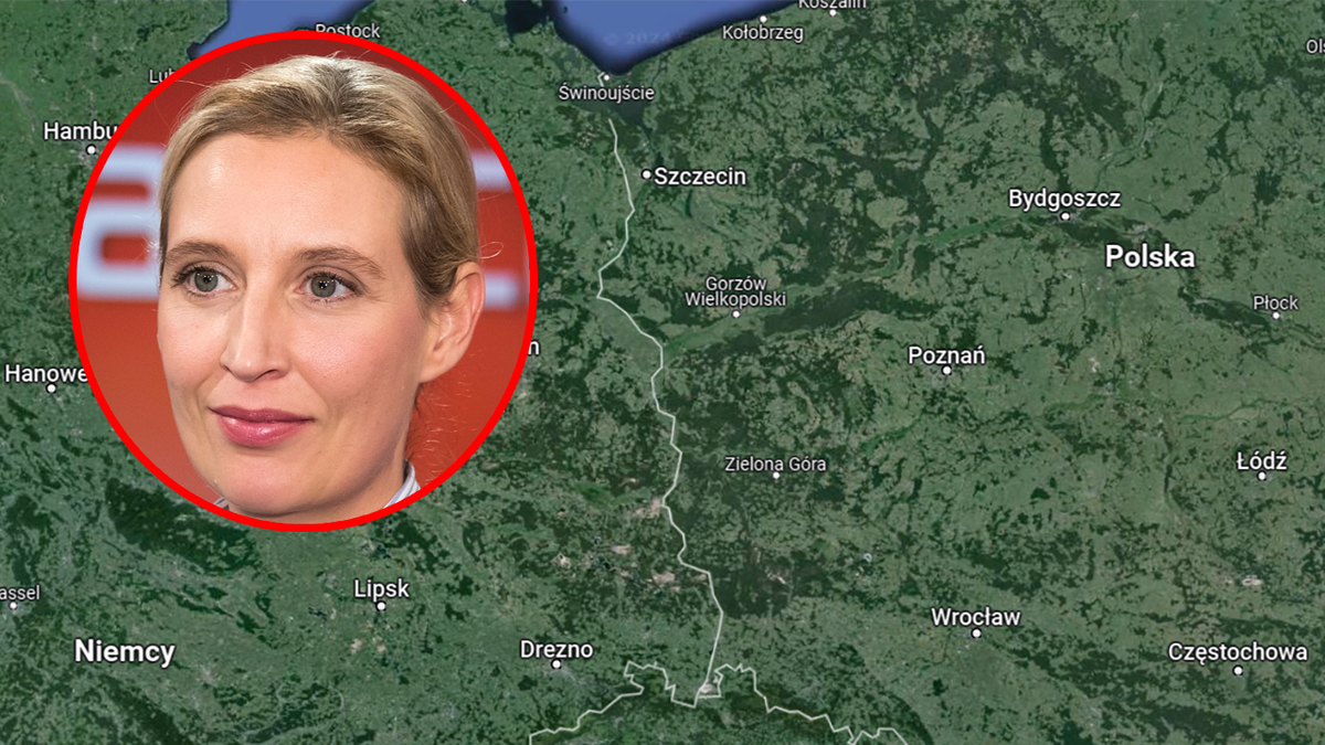 Liderka AfD udzieliła bardzo kontrowersyjnego wywiadu