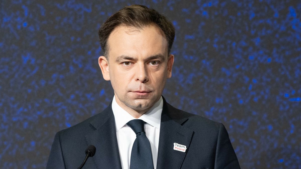 Minister finansów Andrzej Domanski 