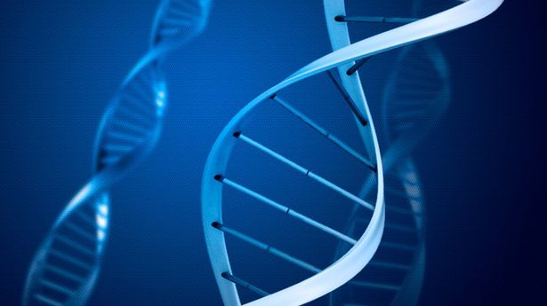 Czy jesteśmy inteligentni z powodu błędu kopiowania DNA? 1