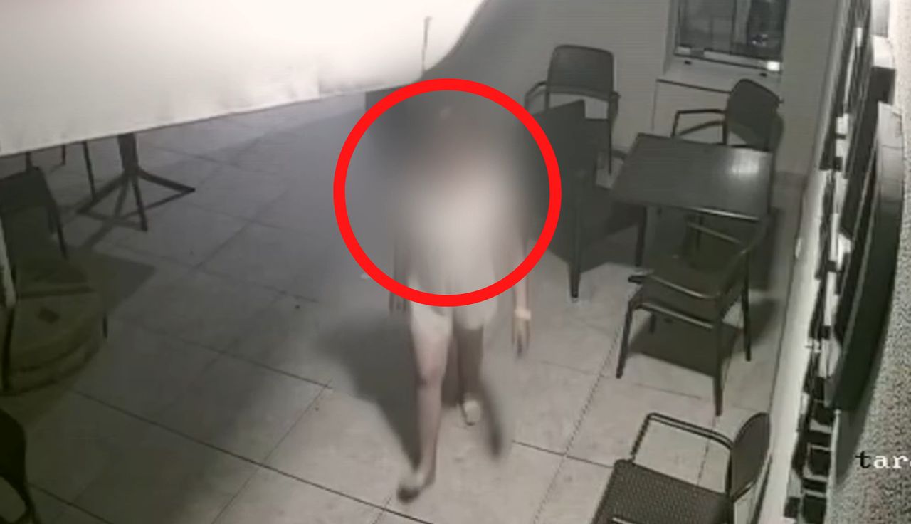 Nagranie obnażyło prawdę. Wstyd. Kobieta przyłapana w restauracji