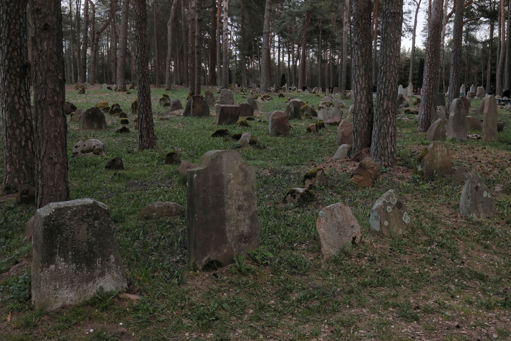 Cmentarz muzułmański w Kruszynianach 