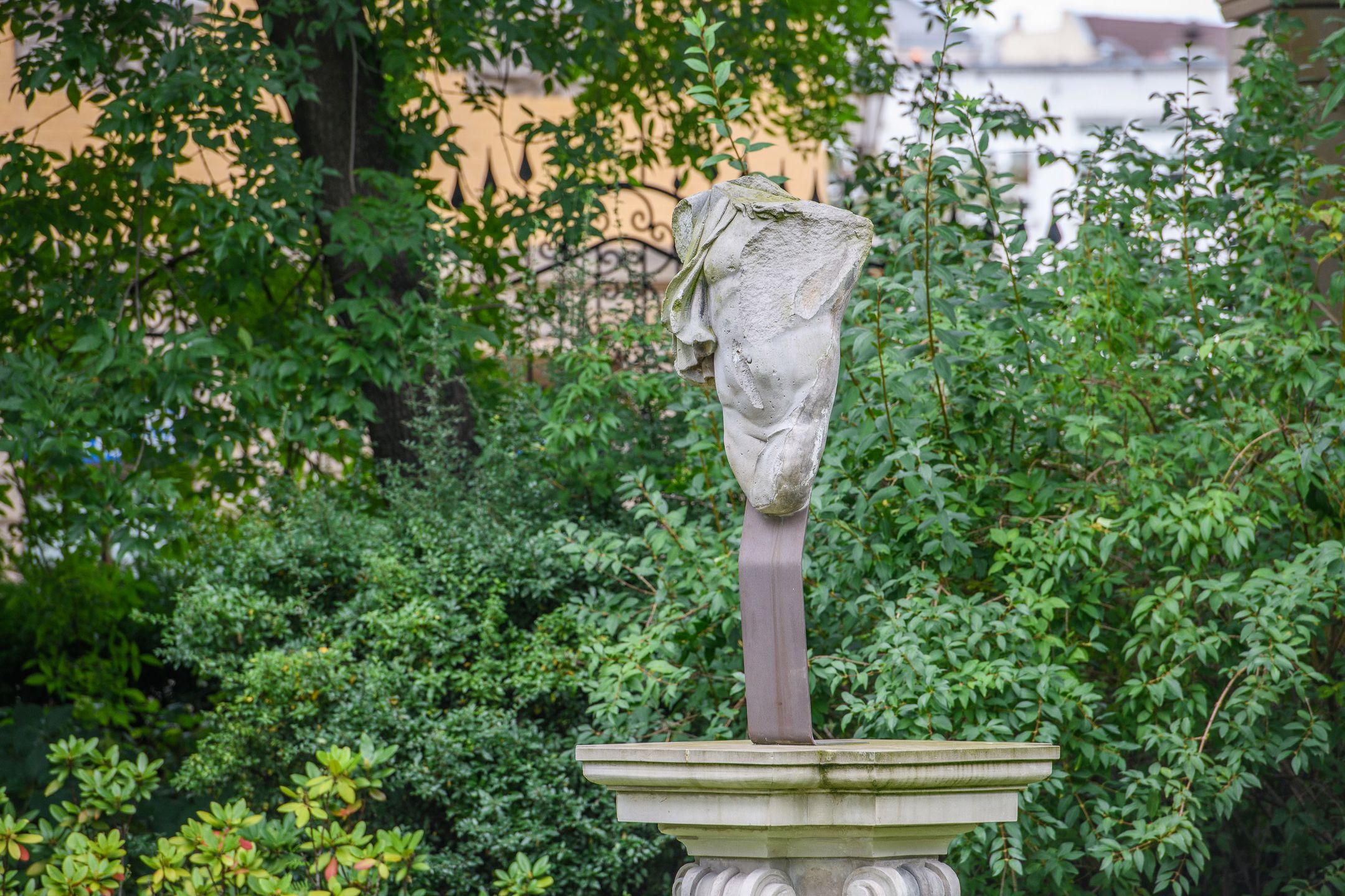 Czy Nikon D850 to rzeczywiście lustrzanka kompletna? Sprawdzamy w praktyce  [test + wideo] 124