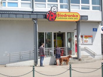 Biedronka nie żartuje. Paczka parówek za 1 zł. Lepiej się pospieszyć