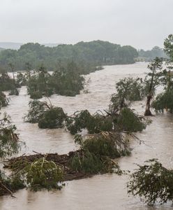 Dramat na obozie Camp Mystic. Byli tam też Polacy