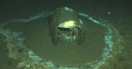 Ogromne ilości toksycznej substancji na dnie oceanu. Oszałamiające odkrycie naukowców