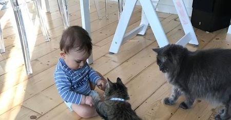 National Pet Day 2021 – Święto Zwierząt Domowych w USA