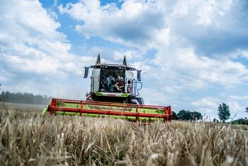 Ceny jęczmienia nowe zbiory 2025 – tyle zapłacą ci w skupie!