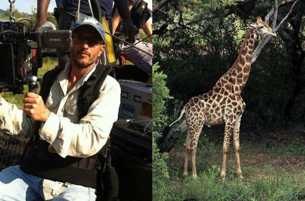 Reżyser popularnego serialu zginął na planie! Został zaatakowany przez żyrafę